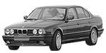 BMW E34 P317E Fault Code