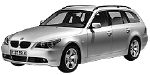 BMW E61 P317E Fault Code