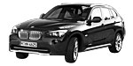 BMW E84 P317E Fault Code